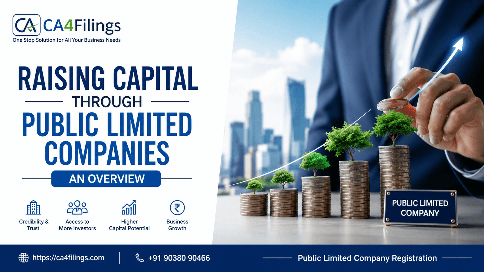 Raising Capital through Public Limited Companies: An Overview